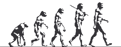 The Evolution of Technology in the Genus Homo Essay