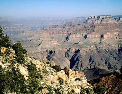 Grand Canyon Splendor