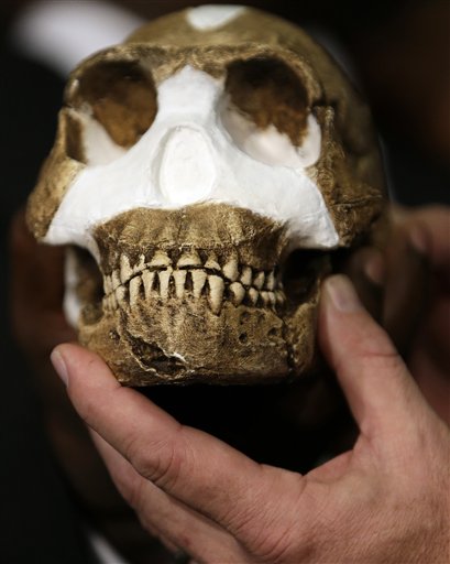 Homo Naledi reconstructed in 2015