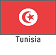 Profile: Tunisia