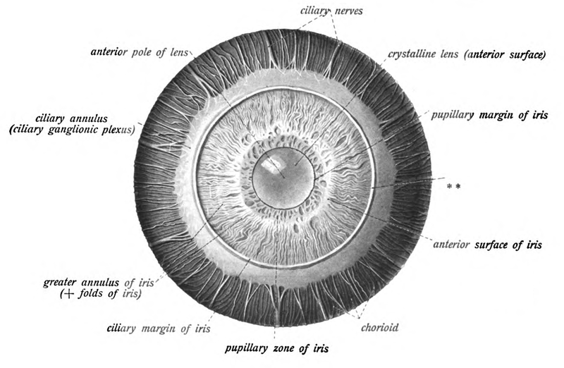 Eyeball diagram