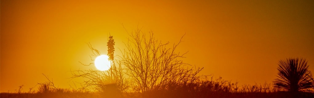 Texas desert sunset