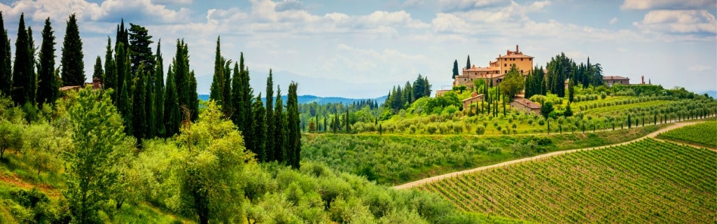 Chianti hills with vineyards and cypress