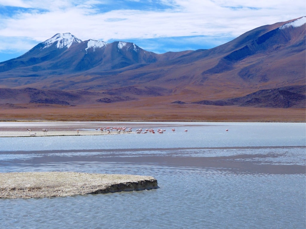 Lake Hedionda Andes Mountains
