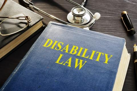 Disability rights and advocacy