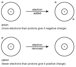 Anions and cations are formed when an atom gains or loses electrons to achieve the electron configuration of the closest noble gas.