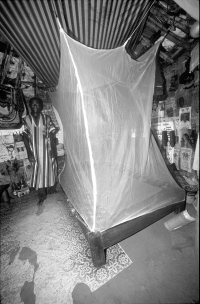 Mosquito bed net installed in a hut in the village of Kiyi, Kuje, near Abuja, Nigeria.