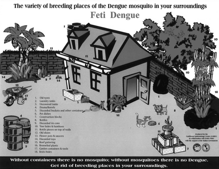 Where the mosquitoes that cause dengue can breed.