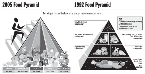2005 and 1992 Food Pyramid Comparison