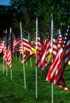 American flags on a memorial field