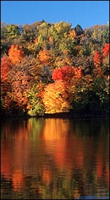 Autumn on the Lake