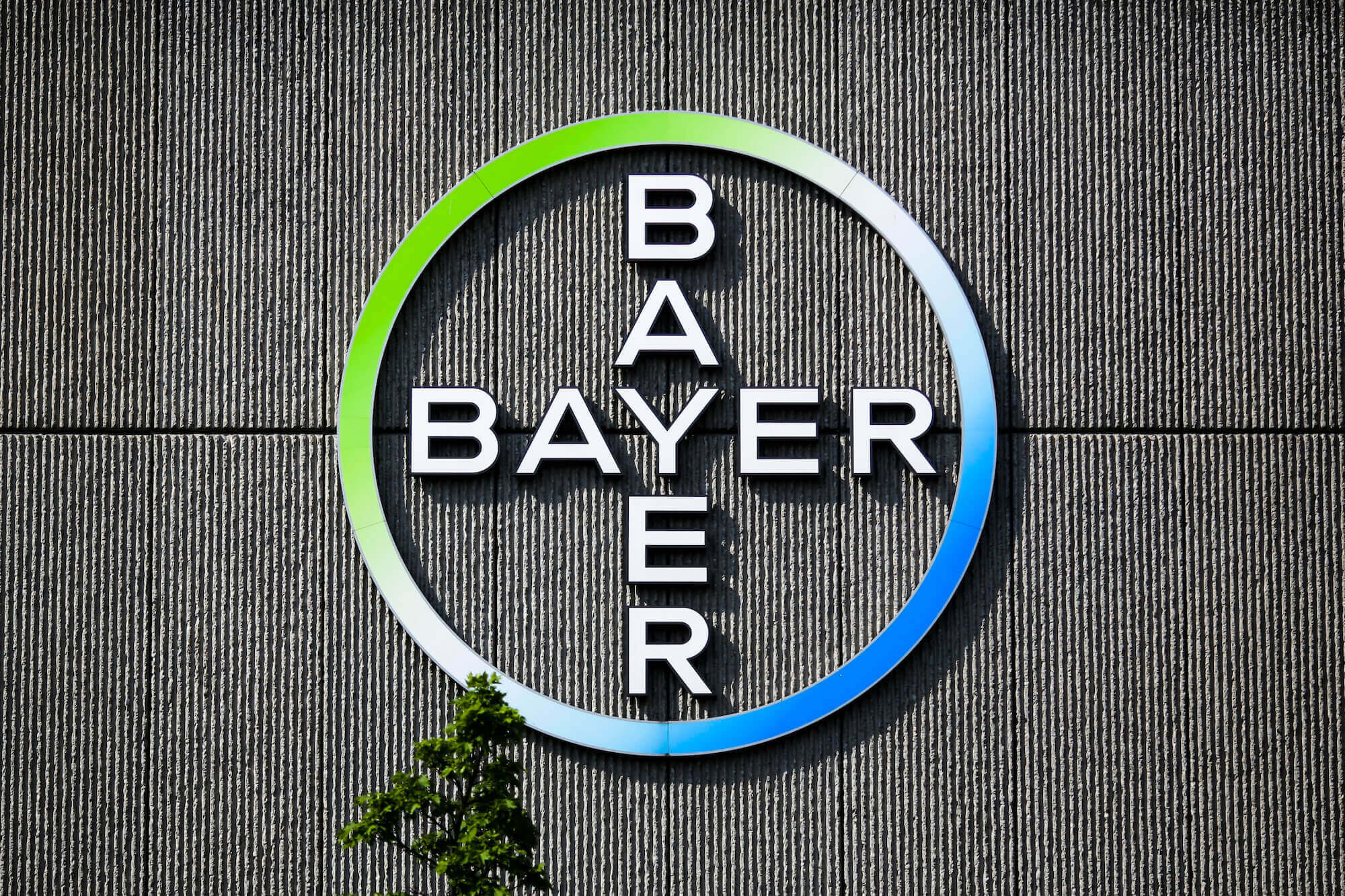 Image of Bayer logo