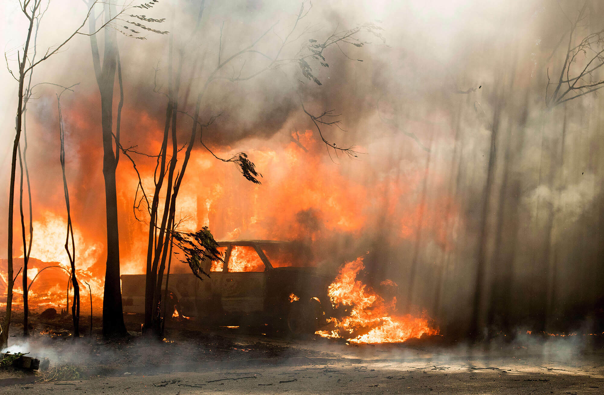 Image of most recent California fire destroying trees