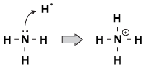 Ammonia can grab a proton from nitric acid with its lone pair of electrons.