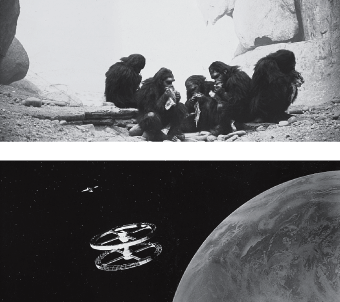In this flash forward from 2001: A Space Odyssey, Kubrick seems to be saying that the object and the technology have changed, but that the aggressive fascination with flight has not.