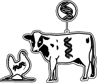 You'll conduct an experiment using liver cells to determine whether the DNA of a cow is different from that of a chicken.
