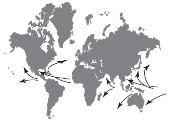 Source regions and path of hurricanes.