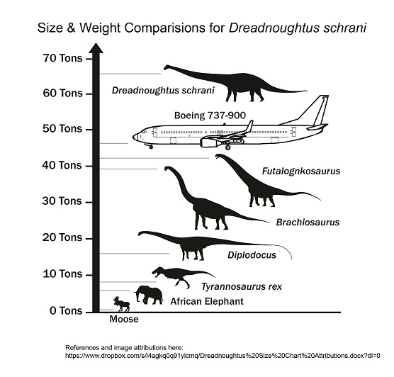 Size comparison for dreadnoughtus-schrani