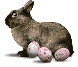Easter Rabbit with Easter Eggs