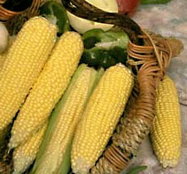 basket of corn