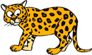 Leopard Bouncing
