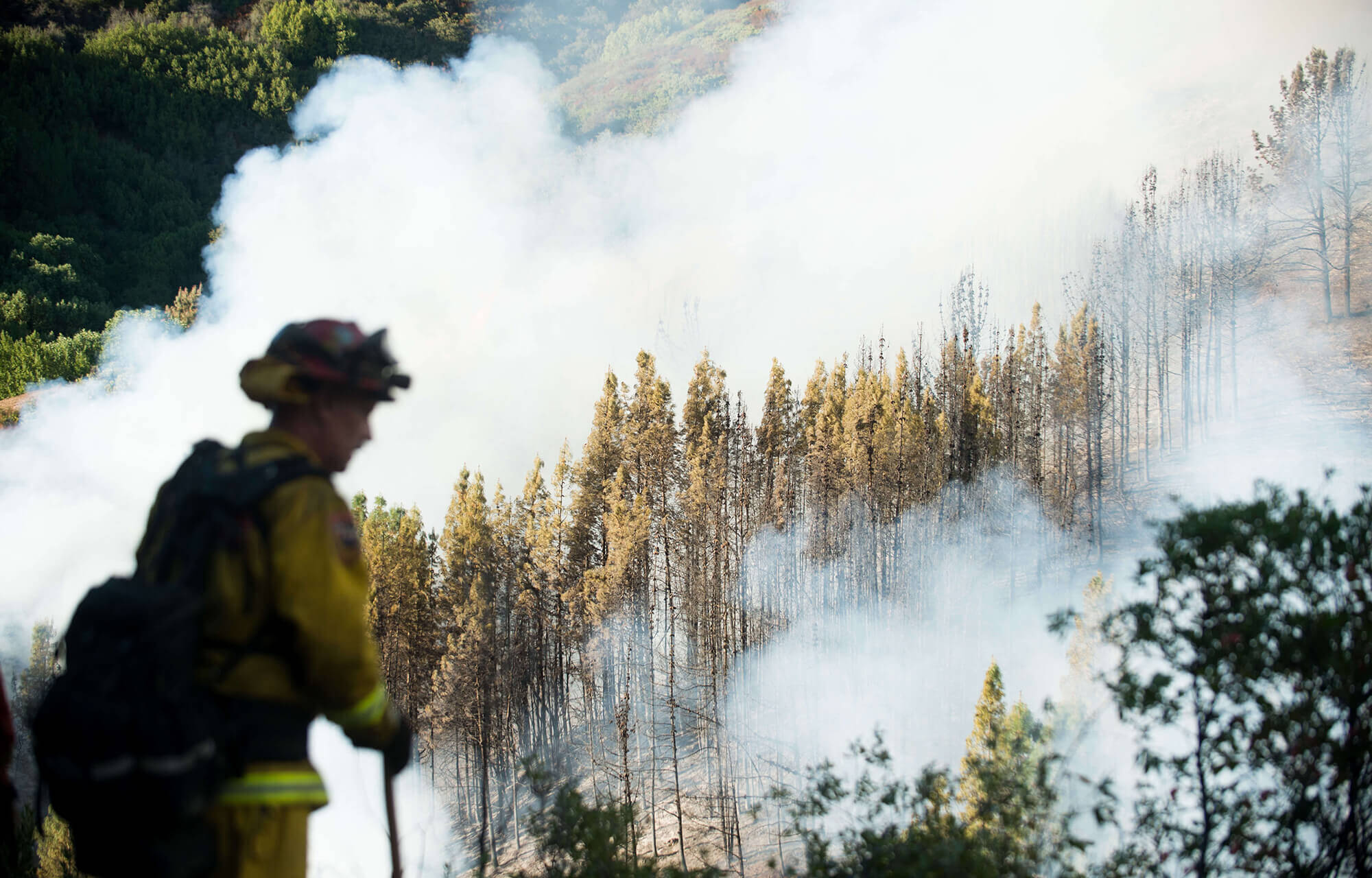 Image of firefighter in front of wildfire
