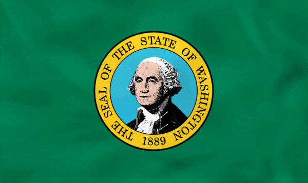 Washington State Flag