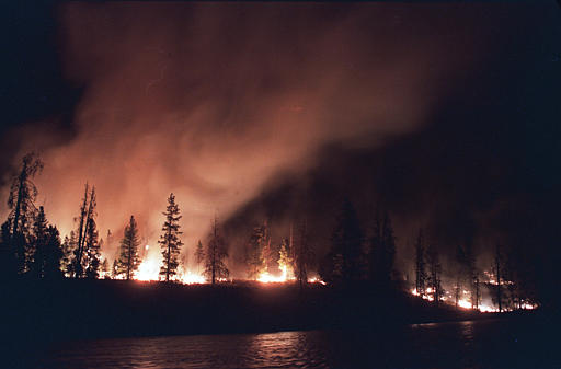 1988 Yellowstone Fire