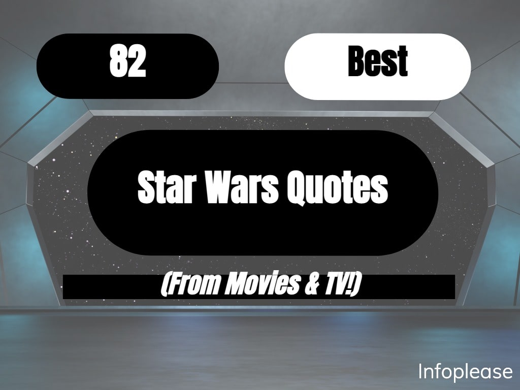 qui gon jinn quotes  Qui gon jinn quotes, Star wars quotes, Star wars  quotes yoda