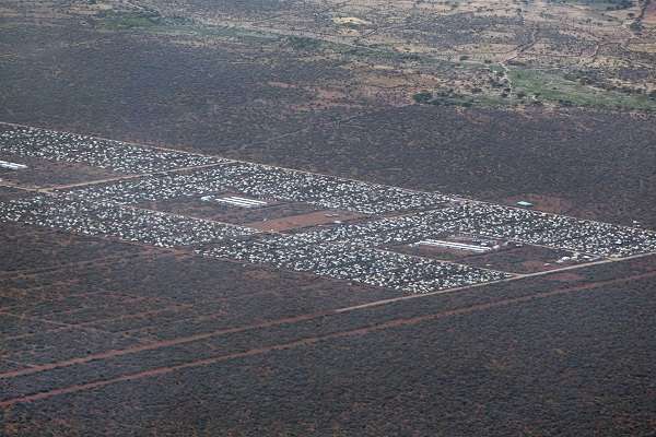 The Dadaab Refugee Camp Houses Over 260,000