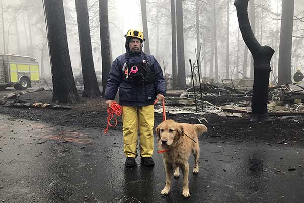 California Wildfires