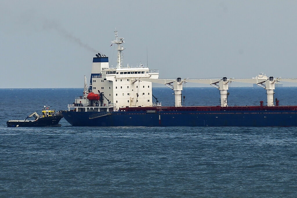 Cargo ships arrive in Ukraine