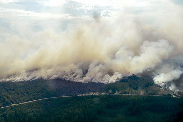 Wildfires in Sweden