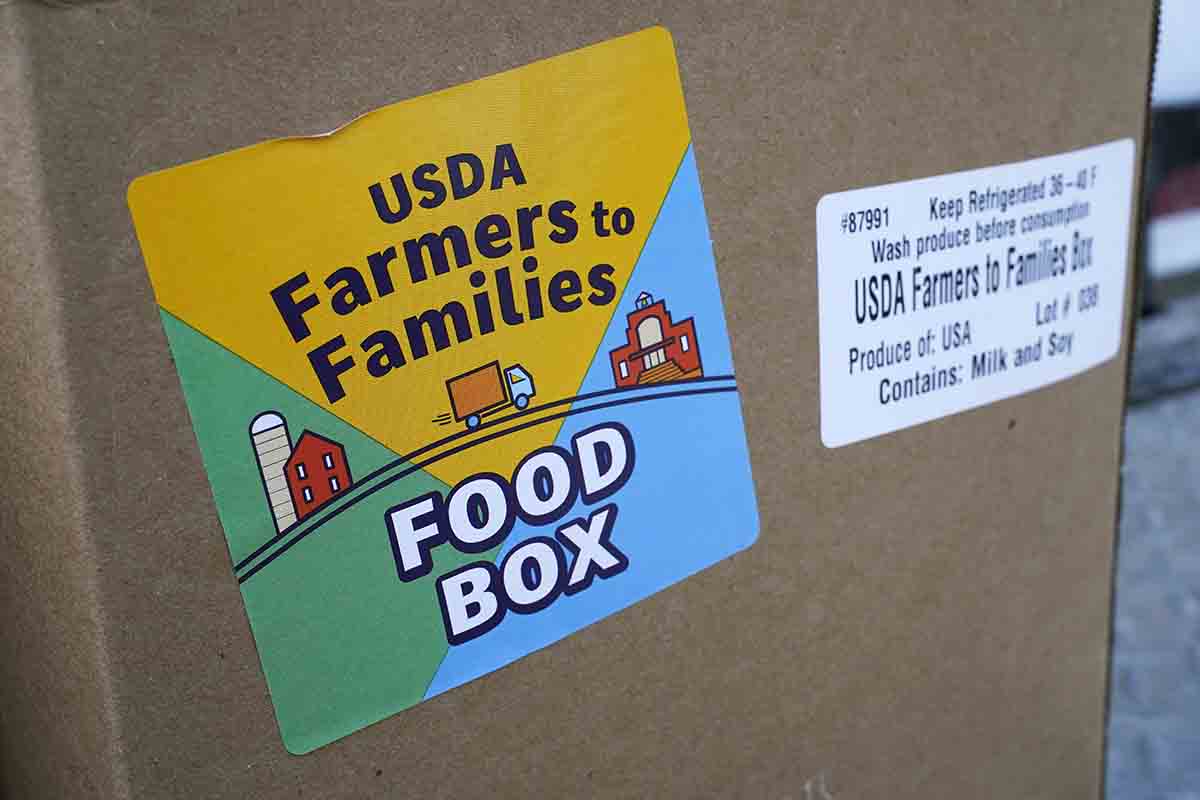 USDA Food Stamps