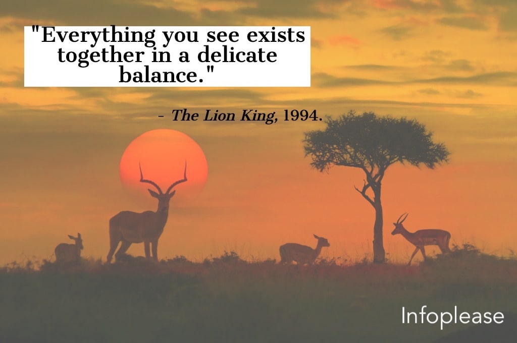 The Lion King quote over an African sunset