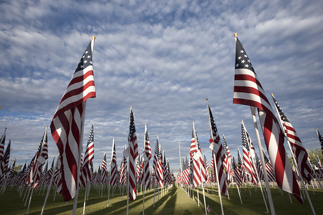 American Flags - Remembering Those Who Fight - Veterans Day