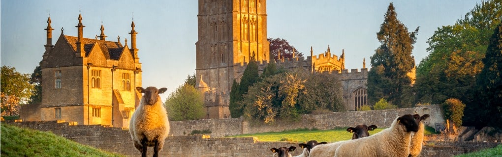 Chipping Campden church with sheep