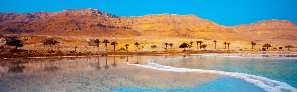 Dead Sea seashore with palm trees and mountains