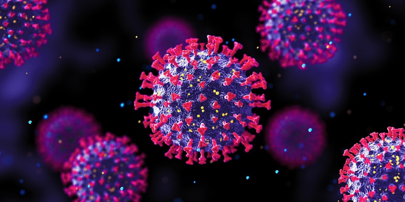 Coronavirus magnified