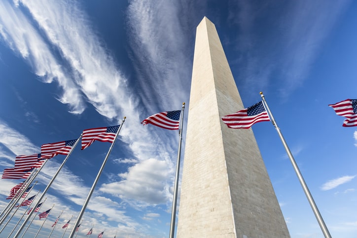 Flags by the Washington Monument