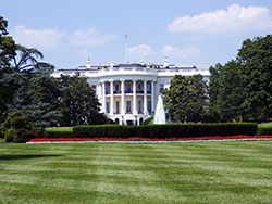 white house - presidential assassins