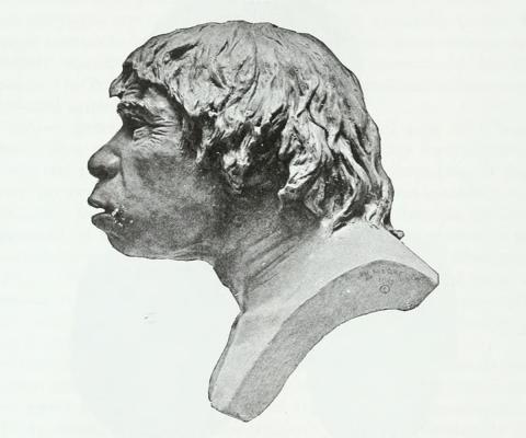 Piltdown Man