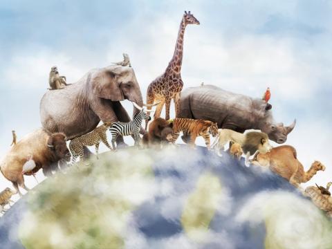 Animals walking overtop of the globe