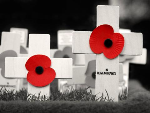 Poppies on graves