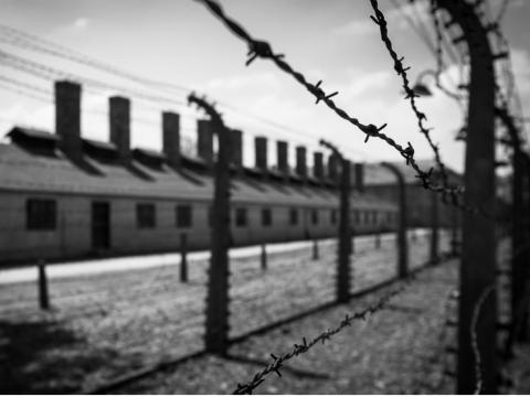 Auschwitz fencing