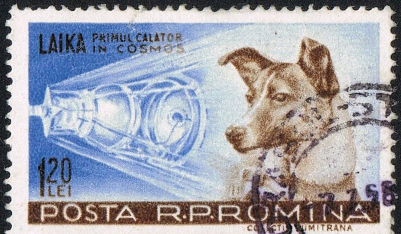 The Soviet Union  sent the first animal, a dog named Laika, into space aboard the Sputnik II. Laika 
